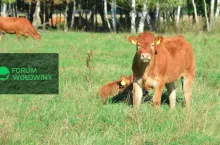 X Forum Wołowiny odbędzie się w lutym 2024 w Warszawie