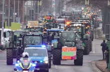 Protesty niemieckich rolników popiera Elon Musk, właściciel Tesli i platformy X