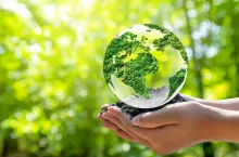 Integrowana ochrona roślin