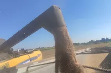 907553