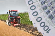 Dopłaty bezpośrednie 2024: Rolnicy chcą zmiany terminów w ekoschematach