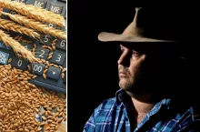 Produkcja zbóż i rzepaku na MEGA minusie. Do 1 ha kukurydzy rolnik dokłada 3 tys. zł!