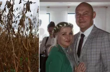 Rolnik z Pomorza: uprawa soi jest opłacalna. Na jakie odmiany postawił?