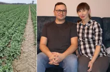 Nawożenie wiosenne pszenicy ozimej u rolnika na Lubelszczyźnie: najpierw saletra, potem RSM