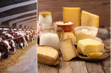 Ceny na GDT znów w górę. Cena masła podskoczyła o niemal 6 proc.