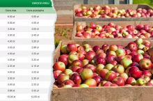 Jakie są ceny jabłek na rynkach hurtowych w połowie stycznia?