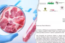 Apel 13 organizacji: Bezpieczeństwo żywnościowe musi być oparte na rolnikach a nie fabrykach sztucznego mięsa