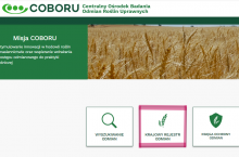 Podgląd strony internetowej COBORU z zaznaczonym oknem: Krajowy rejestr odmian.