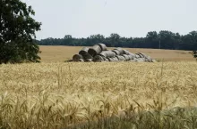 krajobraz