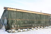 Naczepa z ciężarówki doskonale sprawdza się w roli cielętnika – mówi hodowca.