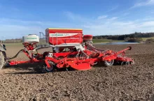 Poplony to nieodłączny element zmianowania, zapewniający stabilizację plonów w okresie wieloletnim.