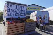 Producenci papryki