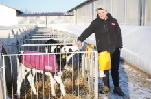 Jednym z czynników, który ma ogromny wpływ na wielkość przyszłej produkcji jest odchów cieląt. I właśnie inwestycji w pierwszy etap życia przyszłych mlecznic hodowcy nie zamierzali odkładać na później i zdecydowali, że wraz z nową oborą powstanie przy niej profesjonalny cielętnik w postaci 60 indywidualnych budek igloo z wybiegami.