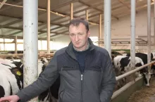 Państwo Bieniasowie postanowili całkowicie zrezygnować z systemu ściołowego, głównie ze względu na wysokie koszty zbioru słomy oraz pracochłonność takiego rozwiązania.