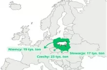 Najwięksi odbiorcy polskiej wieprzowiny