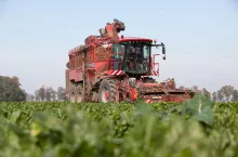 Opłacalność uprawy buraka cukrowego to wynik wielu zmiennych. Oprócz oferowanych cen skupu, wpływ na nią mają ceny środków do produkcji. Te niestety ostatnimi czasy wahają się ponad wszelką przyzwoitość.