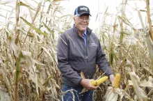 Amerykański farmer chwali się kukurydzą