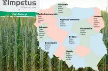 Pszenżyto jare: Lista Odmian Zalecanych na sezon 2024