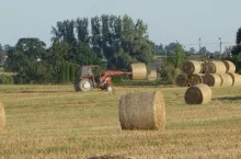 zbiór słomy z pola