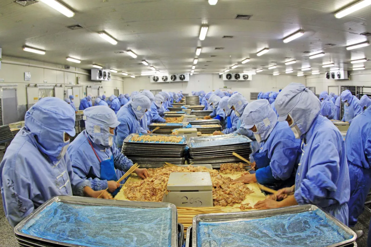 &lt;p&gt;Pracownicy na linii produkcyjnej żywności (fot. Shutterstock)&lt;/p&gt;