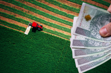 Dopłaty bezpośrednie: ARiMR rozpoczyna wypłatę ekoschematów. Jakie są ostateczne stawki?