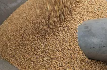 907845