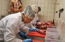 Mięso pochodzące z uboju może wykorzystać jedynie we własnym zakresie. Nie można go wprowadzać do obrotu.