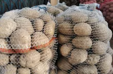 Polskie ziemniaki w workach