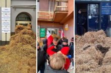 Rolnicy z Podlasia zasypali słomą biura PiS i PO. ”Żyto kosztuje tyle co 2 paczki papierosów”