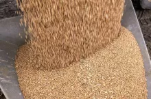 907889