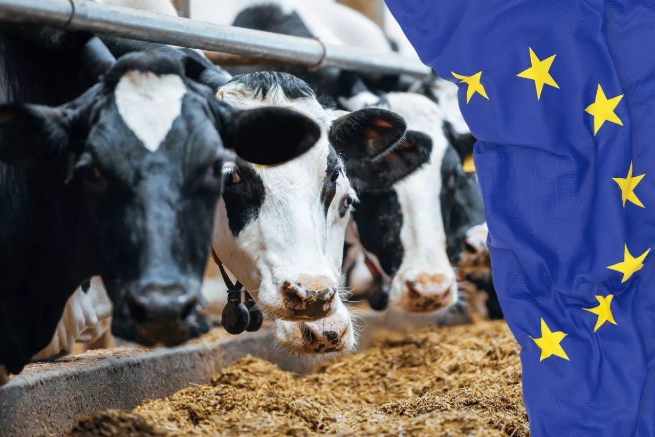 &lt;p&gt;”Produkcja żywności stała się pułapką finansową dla rolników”. EMB żąda szybkich reform w UE&lt;/p&gt;