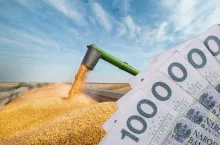 &lt;p&gt;Dopłaty do kukurydzy 2024: ARiMR podała ostateczne STAWKI. Kiedy wypłata pieniędzy?&lt;/p&gt;