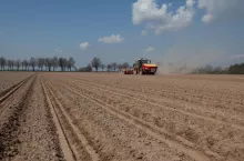 Siew kukurydzy, siewnik, pole