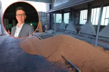 Drastycznie niskie ceny zbóż: czy można ten problem rozwiązać? Ekspert wyjaśnia