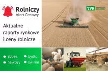 Rolniczy Alert Cenowy - Aktualne raporty rynkowe i ceny rolnicze