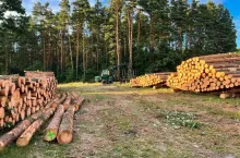 A vehicle for transporting wood from the forest to piles in a place with good access.