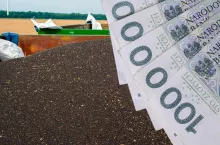 Rosną ceny rzepaku na Matifie. A jakie są ceny kontraktów na żniwa 2024?