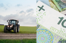 Ekoschematy 2024: czy będą dopłaty do ugorowania?