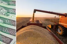 Dopłaty do kukurydzy: 17 tys. rolników wciąż czeka na pieniądze. Kiedy ARiMR je wypłaci?