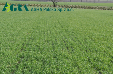 Agra Polska sp. z o.o.
