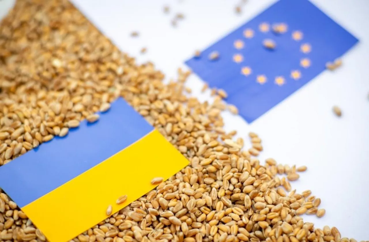 Import zbóż z Ukrainy będzie mniejszy. Ale ważnego produktu nie udało się wpisać na listę  