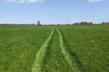 łąka dopłaty do nawozów