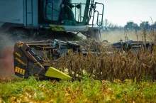 Przystawki do słonecznika firmy OROS