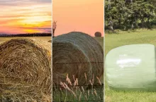 Jakie są ceny siana, sianokiszonki i słomy na wiosnę 2024?