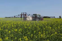 Ochrona kwitnącego rzepaku