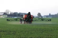 zwalczanie chwastów na wiosnę