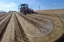 Dopłaty bezpośrednie