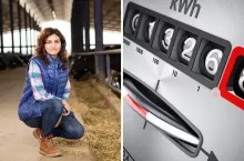 Czy uwolnienie cen energii od 1 lipca uderzy w rolników?