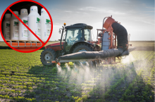 zakaz środków ochrony roślin