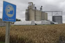 Zdjęcie zboża i elewatora w USA